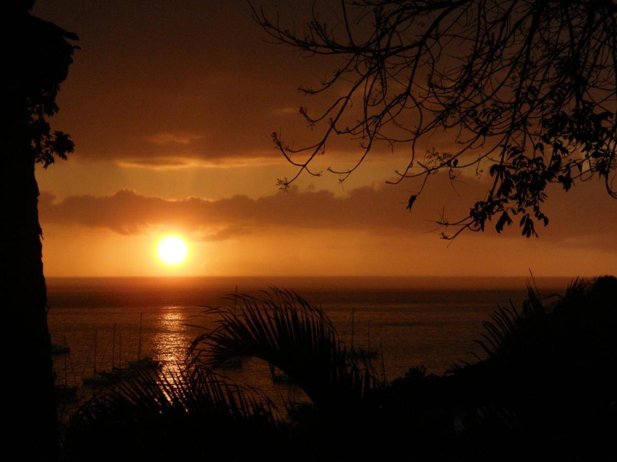 Le Matelot De La Baie Villa Deshaies Buitenkant foto