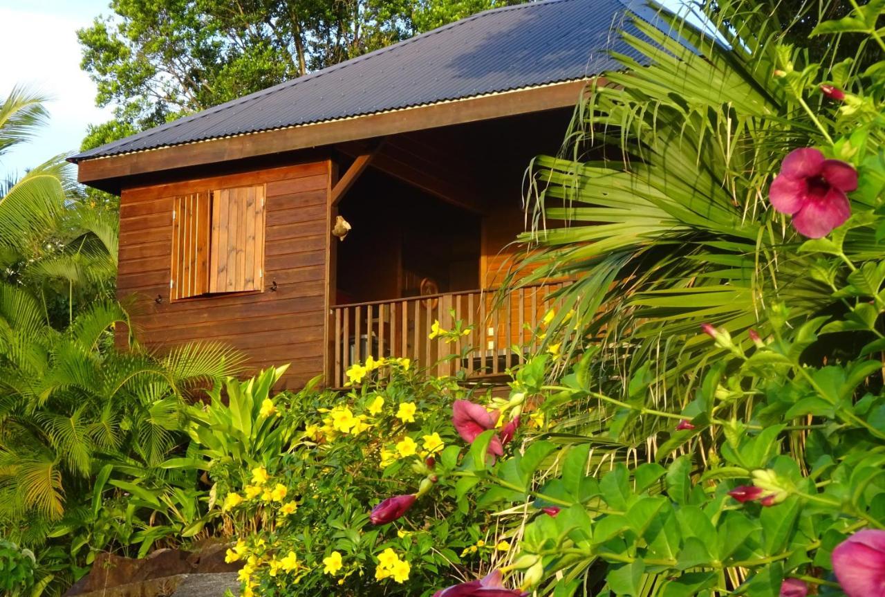 Le Matelot De La Baie Villa Deshaies Buitenkant foto