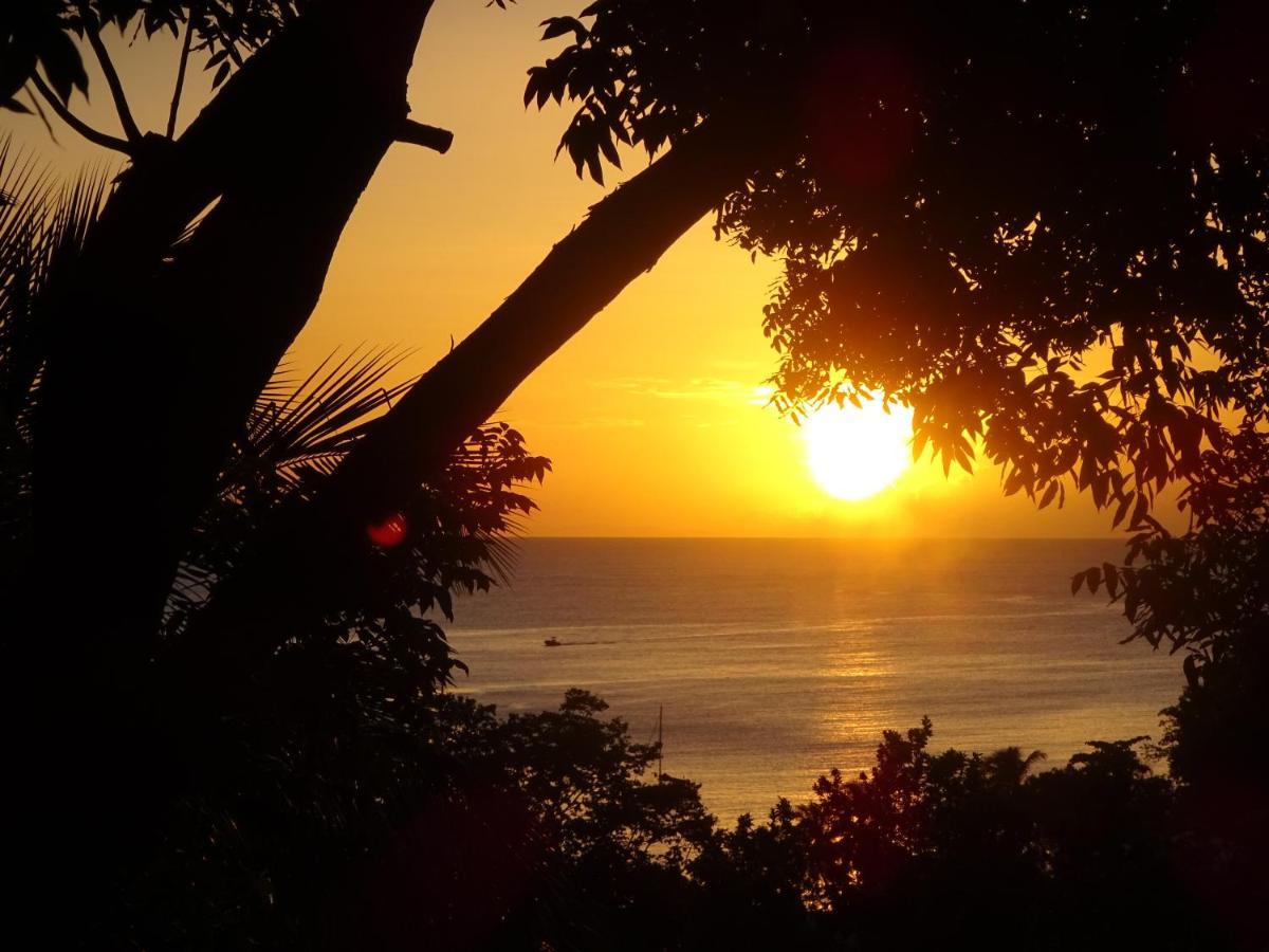 Le Matelot De La Baie Villa Deshaies Buitenkant foto
